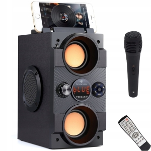 Głośnik BT 5.0 + MIC Feegar Radio Kuchenne Karaoke