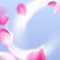 bbb108695a28f93aebb084fbaf9bf7c2.jpg