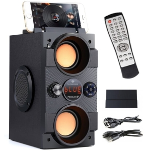 Głośnik Bluetooth Feegar Dance Radio USB SD AUX